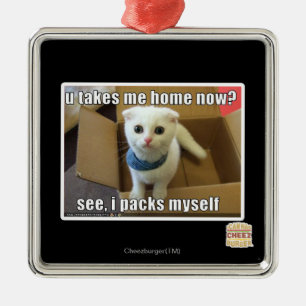 Ornement Métallique U me prennent à la maison maintenant ?