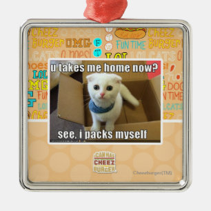 Ornement Métallique U me prennent à la maison maintenant ?