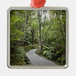 Ornement Métallique Un chemin à travers une forêt tropicale à la base