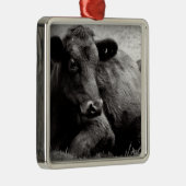 Ornement Métallique Vache de boucherie noire d'Angus (Droite)