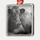 Ornement Métallique Vache de boucherie noire d'Angus (Gauche)