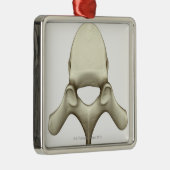 Ornement Métallique Vertèbres (Droite)