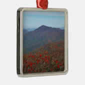 Ornement Métallique Vue de Craggy Dome Mountain (Droite)