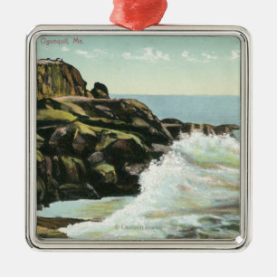 Ornement Métallique Vue de falaise de tête chauve