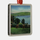 Ornement Métallique Vue des canons et du mur du sud (Droite)