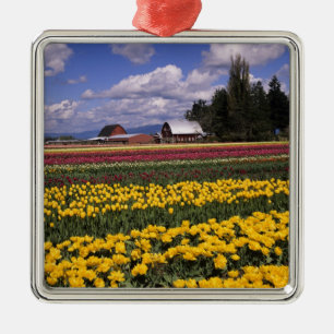 Ornement Métallique WA, Vallée de Skagit, Tulipe de la vallée de Skagi