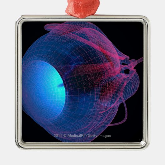 Ornement Métallique Wireframe des muscles de l'oeil (Devant)
