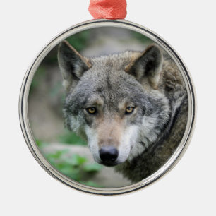Ornement Métallique Wolf_011