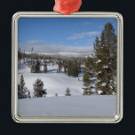 Ornement Métallique Yellowstone Winter Landscape Photographie<br><div class="desc">Un hiver, nous sommes allés faire de la raquette dans la région Gallatin du parc national Yellowstone. Voici un magnifique paysage d'arbres et de montagnes dans le parc national de Yellowstone par une journée ensoleillée d'hiver. Cette image est également présentée comme le fond d'écran large "Yellowstone Winter Landscape" de la...</div>
