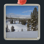 Ornement Métallique Yellowstone Winter Landscape Photographie<br><div class="desc">Un hiver, nous sommes allés faire de la raquette dans la région Gallatin du parc national Yellowstone. Voici un magnifique paysage d'arbres et de montagnes dans le parc national de Yellowstone par une journée ensoleillée d'hiver. Cette image est également présentée comme le fond d'écran large "Yellowstone Winter Landscape" de la...</div>