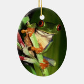 Ornement mignon de grenouille d'arbre (Dos)