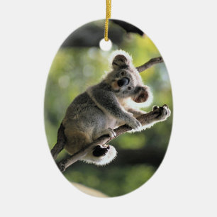 Ornement mignon de koala