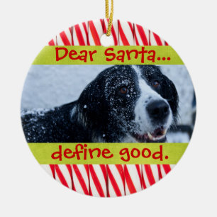 Ornement mignon de photo de Noël d'animal familie