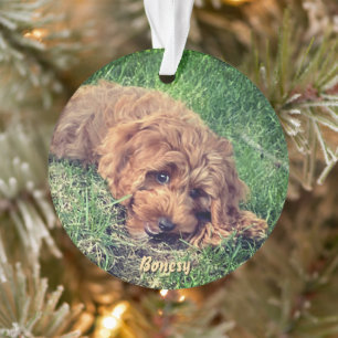 Ornement mignon Golden Doodle