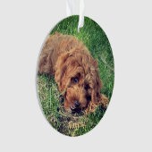 Ornement mignon Golden Doodle (devant)