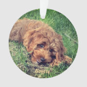 Ornement mignon Golden Doodle (devant)