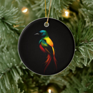 Ornement Noir 4 Luxe avec Oiseau Tropical Arc-en-C