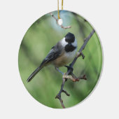 ornement Noir-couvert de Chickadee (Gauche)