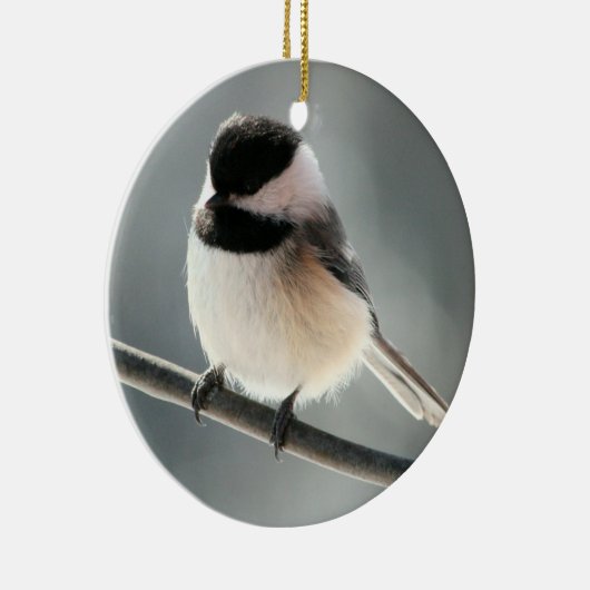 ornement Noir-couvert de Chickadee (Droite)