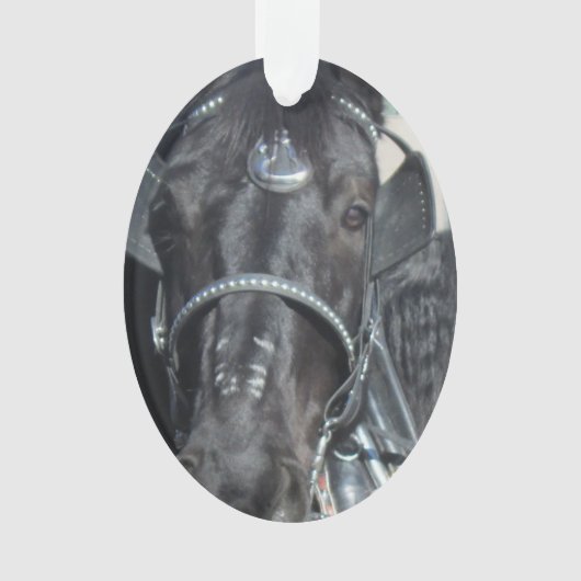 Ornement noir de cheval (devant)
