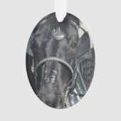 Ornement noir de cheval (dos)