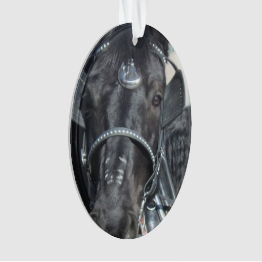 Ornement noir de cheval (devant)