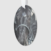 Ornement noir de cheval (devant)