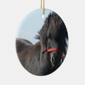 Ornement noir de poney (Droite)
