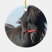 Ornement noir de poney (Dos)