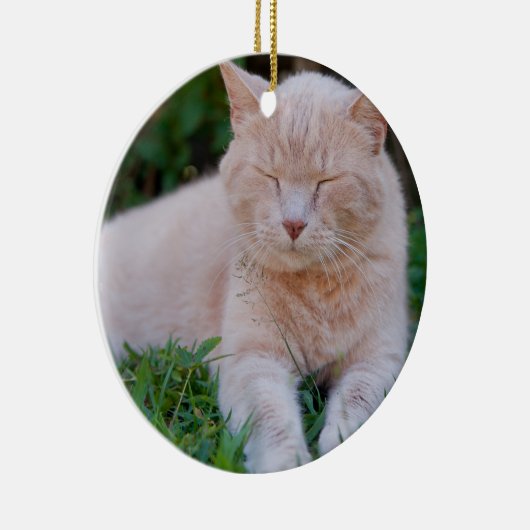 Ornement orange de chat (Droite)