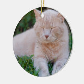 Ornement orange de chat (Gauche)