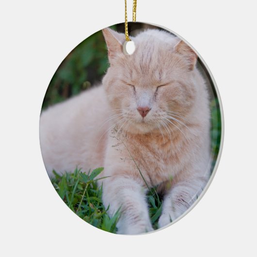 Ornement orange de chat (Gauche)