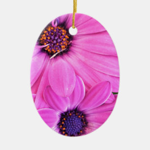 Ornement Ovale En Céramique À l'intérieur de la nature pourpre rose de fleur