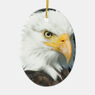 Ornement Ovale En Céramique Aigle de Bald
