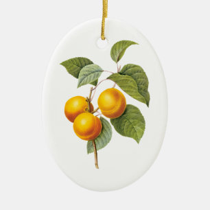 Ornement Ovale En Céramique Aliments anciens Fruits, Abricot Pêche par Redoute