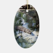 Ornement Ovale En Céramique Alligator (Droite)