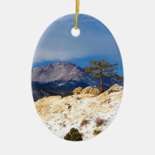 Ornement Ovale En Céramique Arbre solitaire