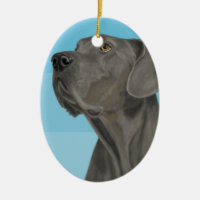 Beau great dane gris sur le bleu