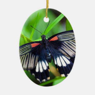 Ornement Ovale En Céramique Beau Papillon noir, blanc et rouge