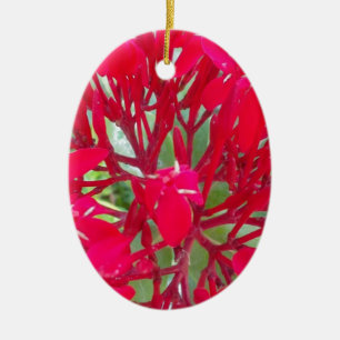 Ornement Ovale En Céramique Belle fleur de sang Milkweed Art Imprimer/Graphiqu