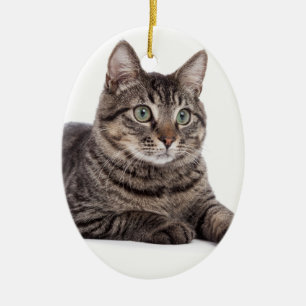 Ornement Ovale En Céramique Chat