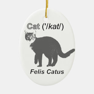 Ornement Ovale En Céramique Chat Felis Catus