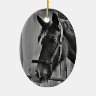 Ornement Ovale En Céramique Cheval blanc noir - Art de la photographie animale
