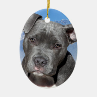 Ornement Ovale En Céramique Chiot de Pitbull Terrier d'Américain