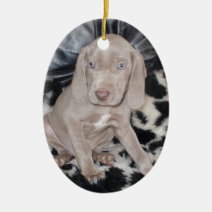 Ornement Ovale En Céramique Chiot de Weimaraner