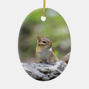 Ornement Ovale En Céramique Chipmunk sur un rocher