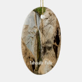 Ornement Ovale En Céramique Chutes Tahquitz, Palm Springs, CA (Droite)