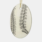 Ornement Ovale En Céramique Dessin de vertèbres (Gauche)