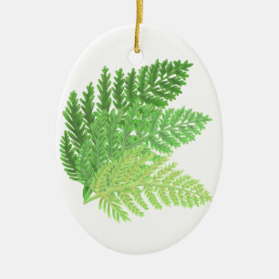 Ornement Ovale En Céramique Élégante fougères vertes feuilles de bois