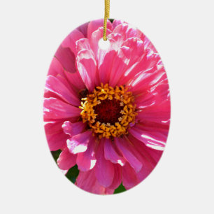 Ornement Ovale En Céramique Elégante marguerite rose rose rétro
